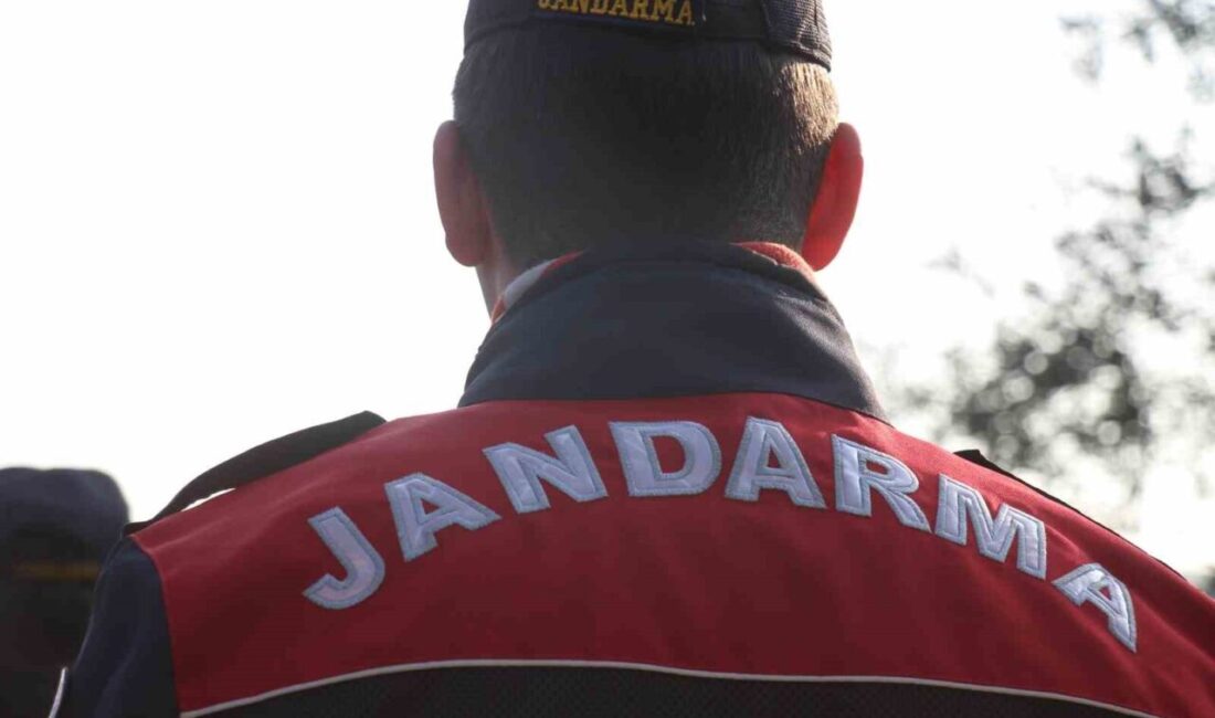 Aydın İl Jandarma Komutanlığı ekipleri, 22-28 Aralık 2025 tarihleri arasında