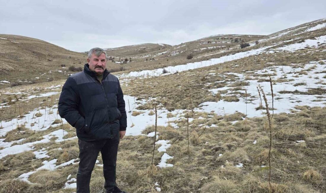 Yozgat’ta yaşayan ve hayvancılıkla uğraşan İbrahim Tamer, 40 yıldır küçükbaş