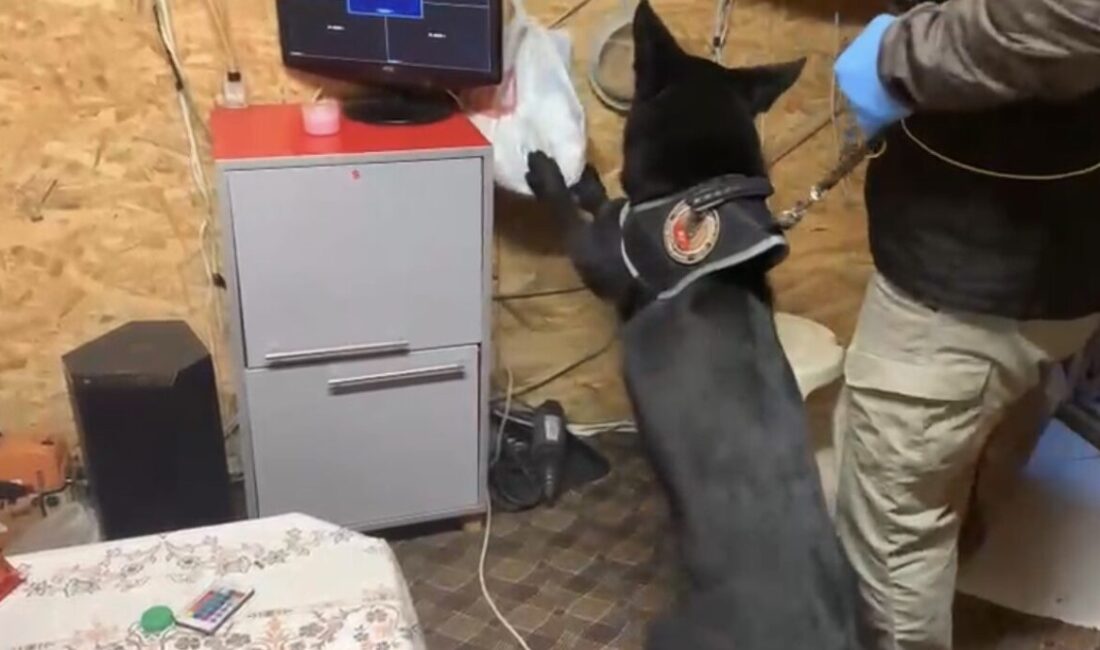 Samsun’da gerçekleşen bir operasyonda, narkotik köpeği Tony’nin tepki verdiği alanlarda