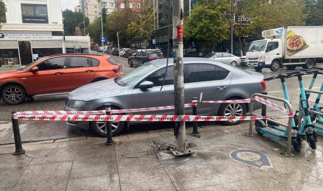 İstanbul’un Kadıköy ilçesinde, Bağdat Caddesi üzerindeki bir aydınlatma direğinde çıkan