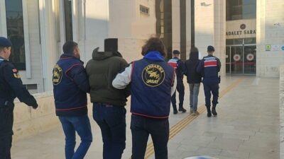 Balıkesir’in Edremit ilçesinde, 100 dönümden fazla zeytinlik alanı içinde yaşanan