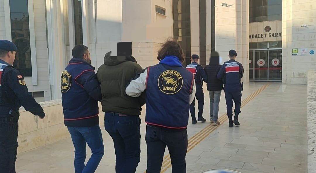 Balıkesir’in Edremit ilçesinde, 100 dönümden fazla zeytinlik alanı içinde yaşanan