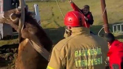 Balıkesir’in Sındırgı ilçesine bağlı Karaağaç Mahallesi’nde yer alan 3,5 metre