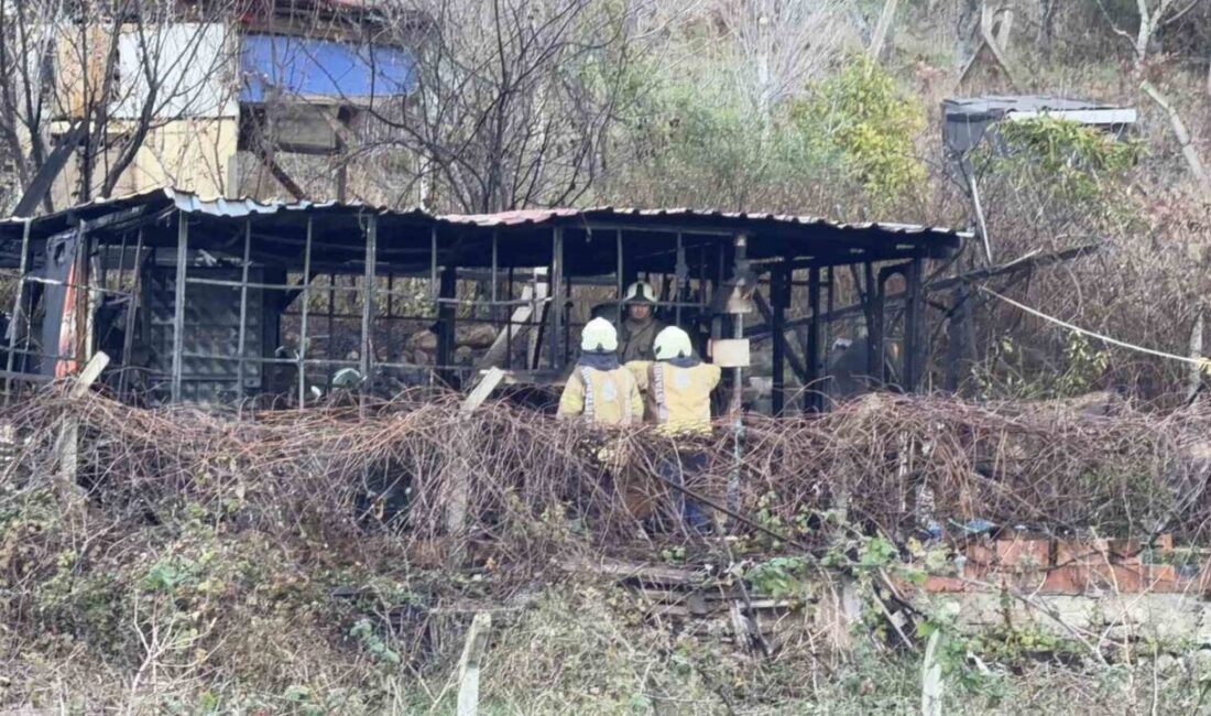 İstanbul’un Arnavutköy ilçesinde, 68 yaşındaki bir adamın hayatını kaybettiği acı