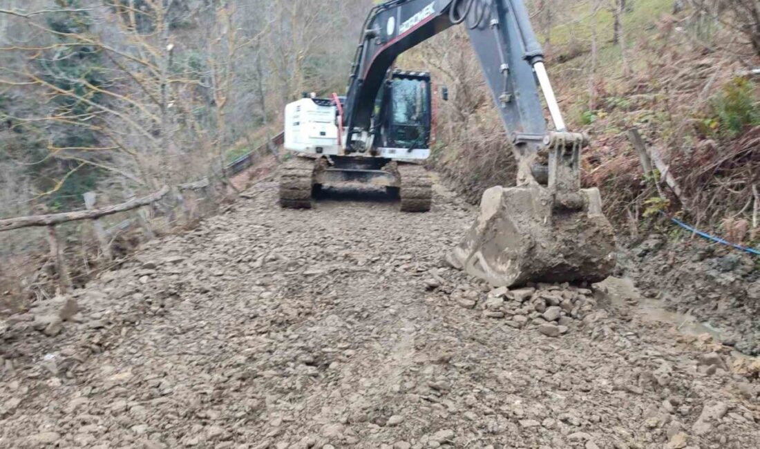 Bartın’ın Ulus ilçesine bağlı Dibek Köyü’nde, son üç gündür devam