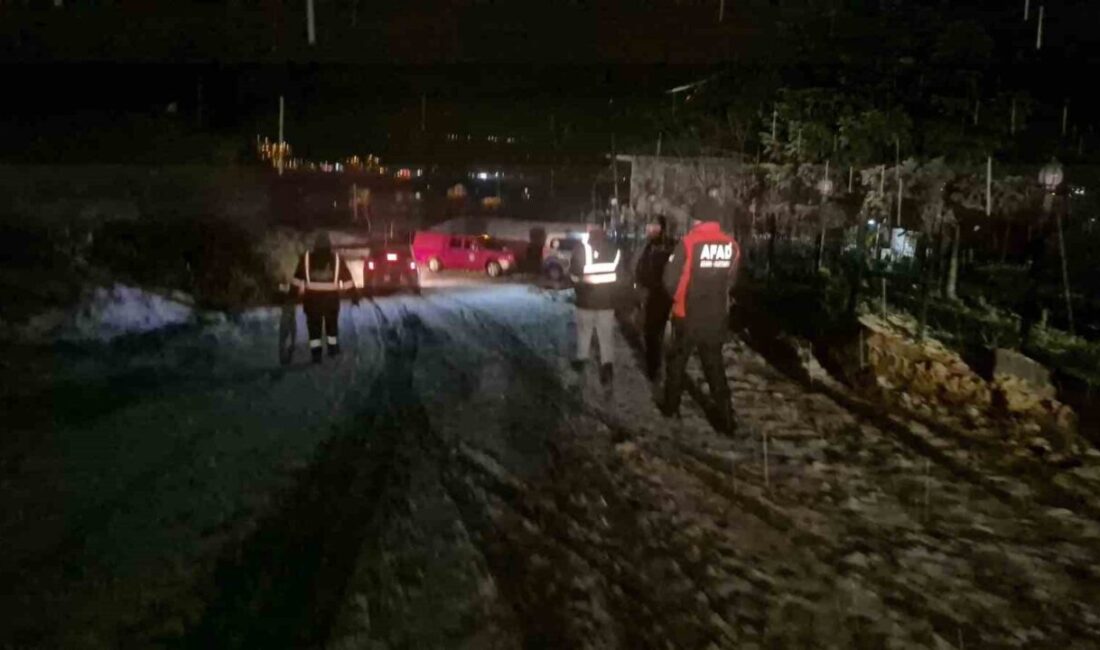 Bartın’da ev tutmaya çalışan bir çift, yanlışlıkla ormanlık alana sürdükleri