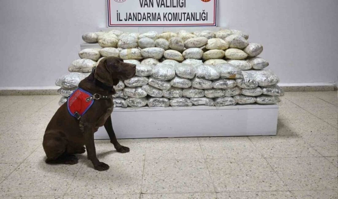 Van’ın Başkale ilçesinde jandarma ekipleri tarafından gerçekleştirilen operasyon sonucunda 60