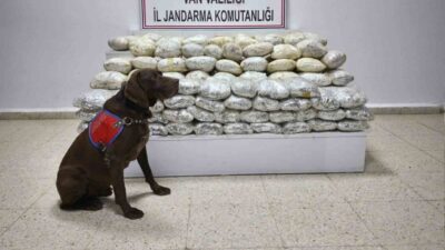 Van’ın Başkale ilçesinde jandarma ekipleri tarafından gerçekleştirilen operasyon sonucunda 60