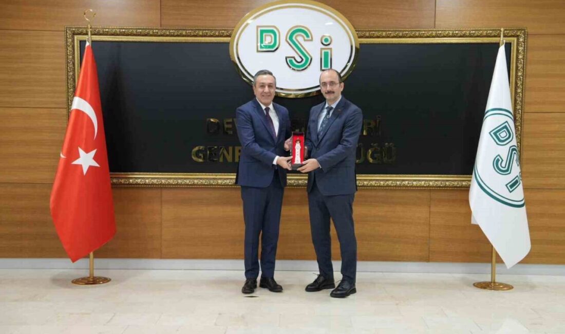 Sungurlu Belediye Başkanı Muhsin Dere, Devlet Su İşleri (DSİ) Genel