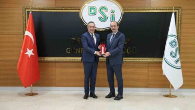 Sungurlu Belediye Başkanı Muhsin Dere, Devlet Su İşleri (DSİ) Genel
