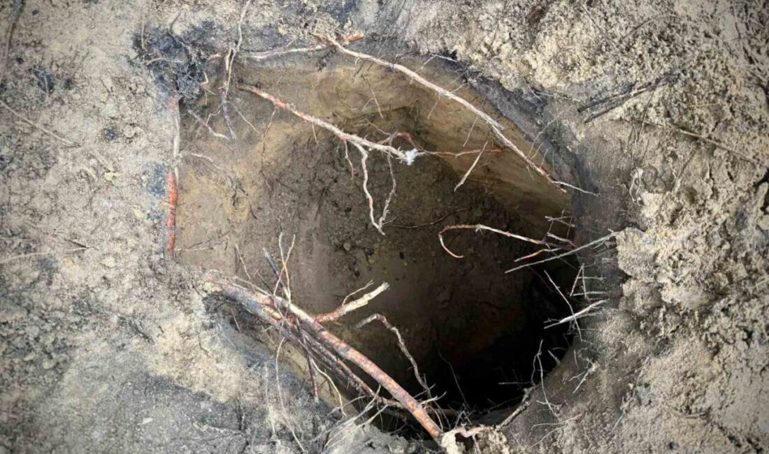 Polonya Sınır Muhafaza Birimi (Straz Graniczna) Basın Sözcüsü tarafından yapılan