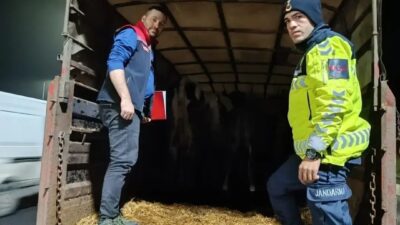 Malkara İlçesi’nde gerçekleşen denetimler sonucunda, mevzuata uymayan bir şekilde hayvan