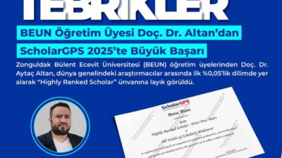 Zonguldak Bülent Ecevit Üniversitesi, Uluslararası akademik performans ve etki analiz