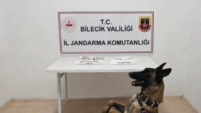 Bilecik’te jandarma bir devriyeye çıktı ve yol kenarında şüpheli bir