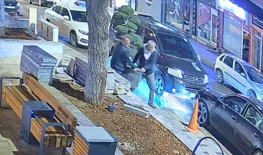 Kahramanmaraş’ın Onikişubat ilçesinde, Edik Parkı’nda bulunan büyük saksılı ağacın çalınmasıyla