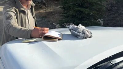 Burdur ilinde kaçak avcılık yapan dört kişi, Burdur Doğa Koruma