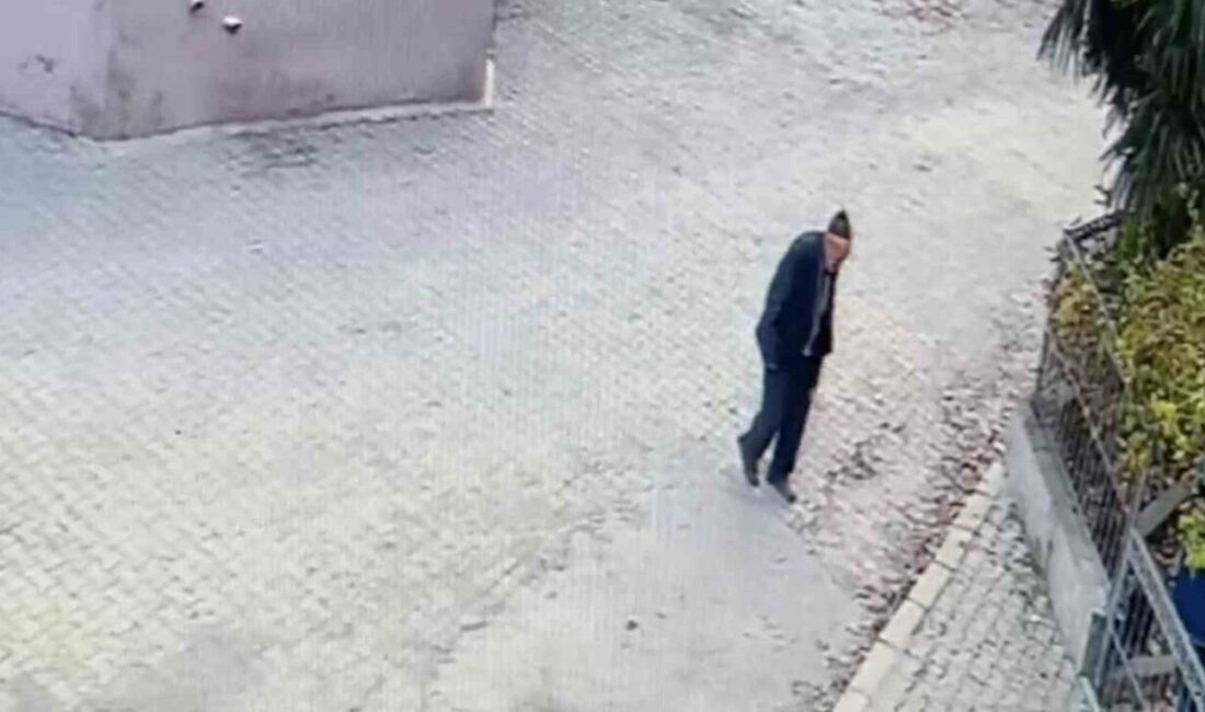 Bursa’nın Mudanya ilçesine bağlı Evciler Mahallesi’nde 10 gün önce ot