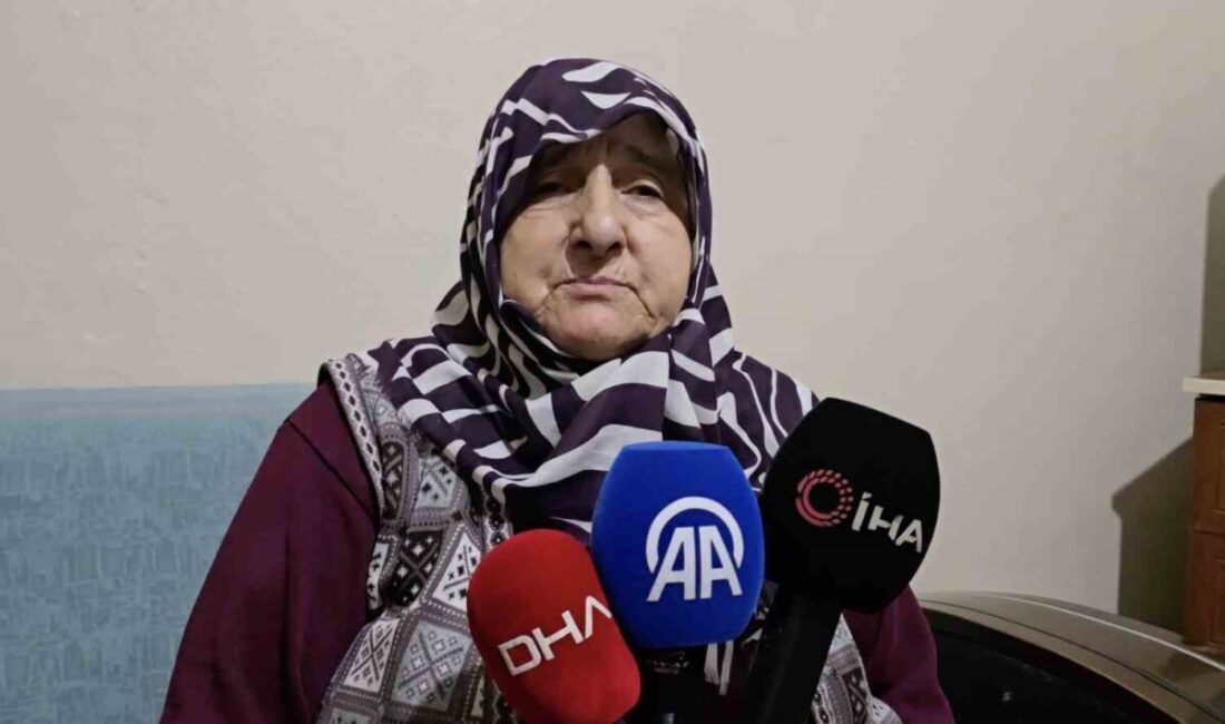Mudanya ilçesine bağlı Evciler Mahallesi’nde yaşayan 80 yaşındaki Alzheimer hastası