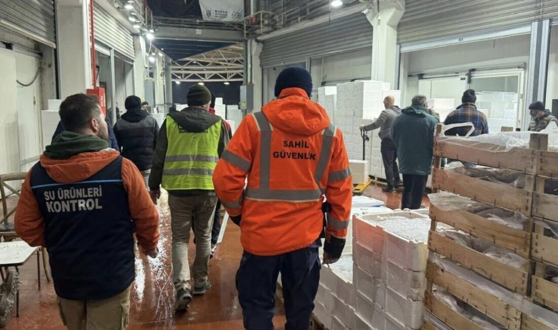 Bursa’da balık hali operasyonu şafak vakti gerçekleştirildi. 615 kilogram istavrit