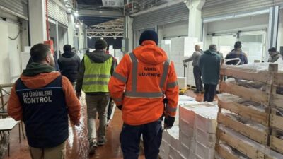 Bursa’da balık hali operasyonu şafak vakti gerçekleştirildi. 615 kilogram istavrit