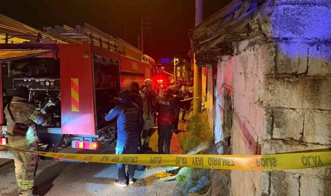 Bir kişinin hayatını kaybettiği yangın, Bursa’nın İznik ilçesinde bulunan tek