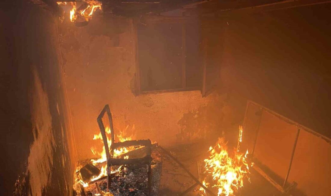 Mudanya ilçesine bağlı Güzelyalı Burgaz Mahallesi’nde atıl durumda olan eski