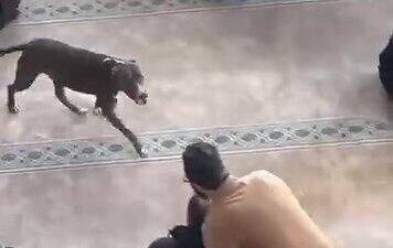 Kocaeli’nin Çayırova ilçesinde, cuma namazı öncesinde camide vaaz verilirken bir