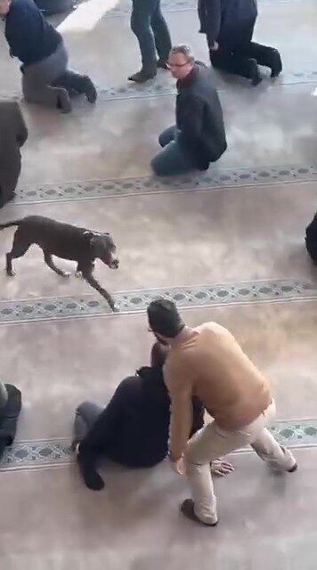 Kocaeli’nin Çayırova ilçesinde, cuma namazı öncesinde camide vaaz verilirken bir