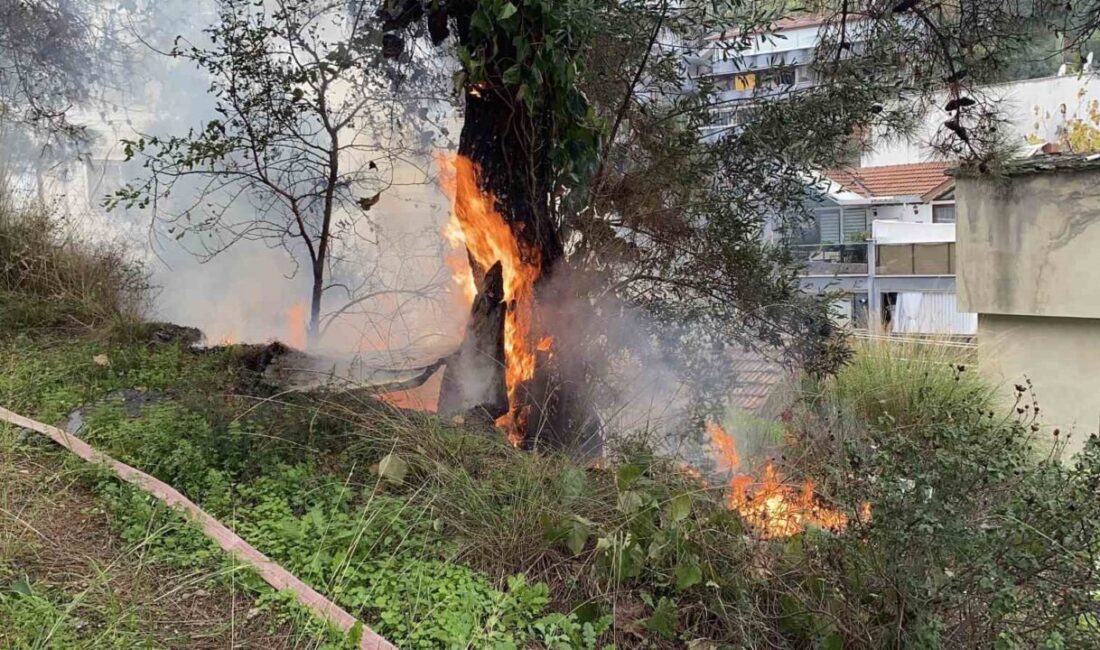Mudanya ilçesindeki çamlık alanda meydana gelen yangın, hemen kontrol altına