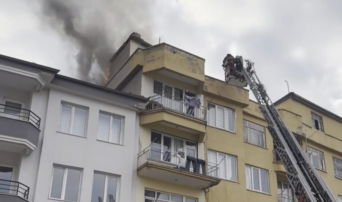 Aksaray ilinde yer alan bir apartmanın çatı katında bulunan kömürlükte