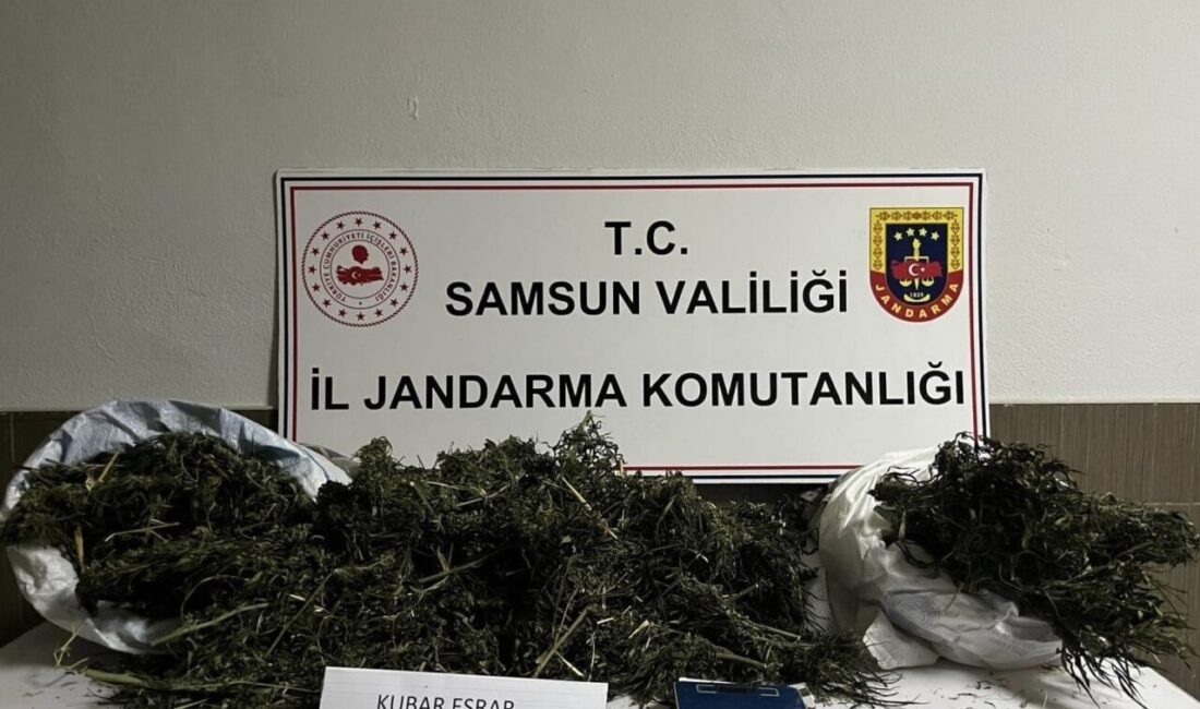 Samsun’un Çarşamba ilçesinde jandarma birimi tarafından gerçekleştirilen operasyonda 3 kilo