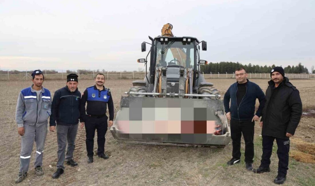 Çifteler ilçesinde bulunan bir işletmede 215 kilogram kaçak at eti