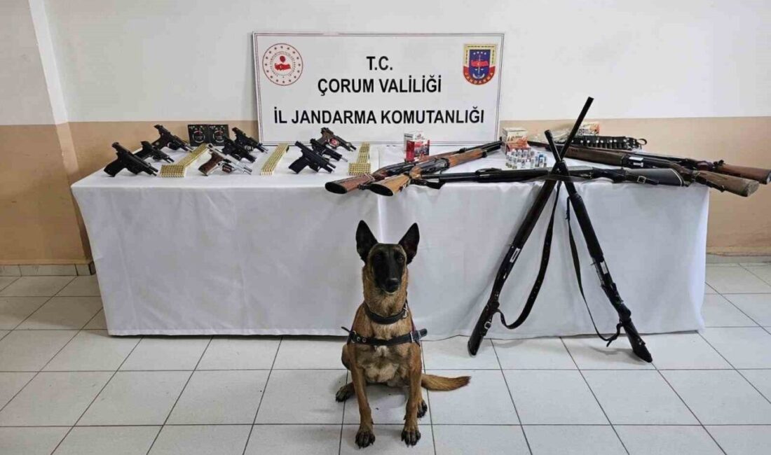 Çorum’un İskilip ilçesinde, halkın can güvenliğini tehlikeye atan ve düğünlerde