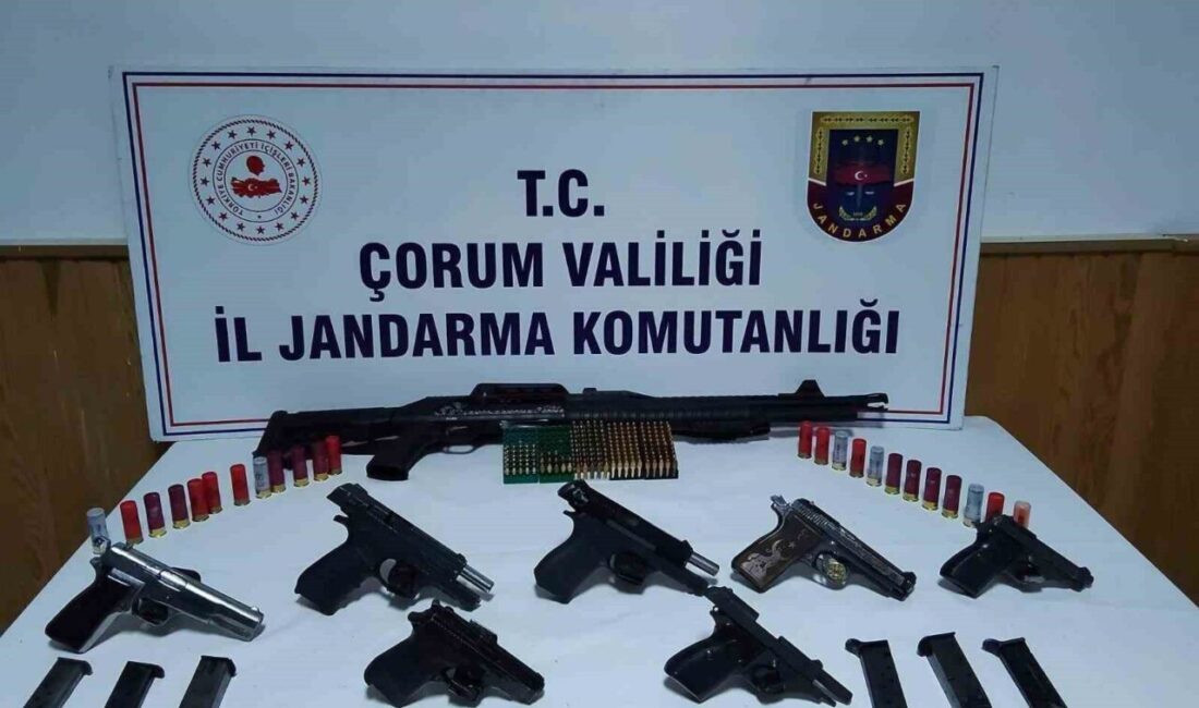 Çorum ilinde, jandarma ekipleri tarafından gerçekleştirilen bir operasyonda bir adreste
