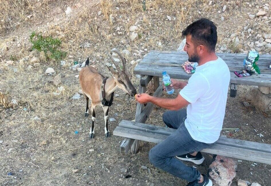 Yozgat’ın Aydıncık ilçesinde yaşayan Coşkun Uzun, Kazankaya köyü civarındaki Kazankaya