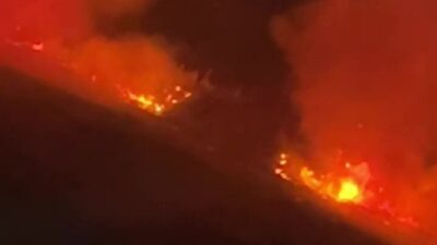 Manavgat ilçesinde, Çolaklı Mahallesi Şarlayak Deresi yakınlarındaki sazlık alanda dün