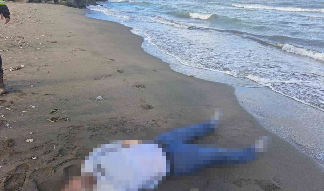 Atakum ilçesinde denize düşen bir gençten gelen haber üzerine dalgıç
