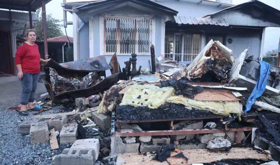 Hatay’da meydana gelen depremin ardından yuvalarını alevlerin arasında terk etmek
