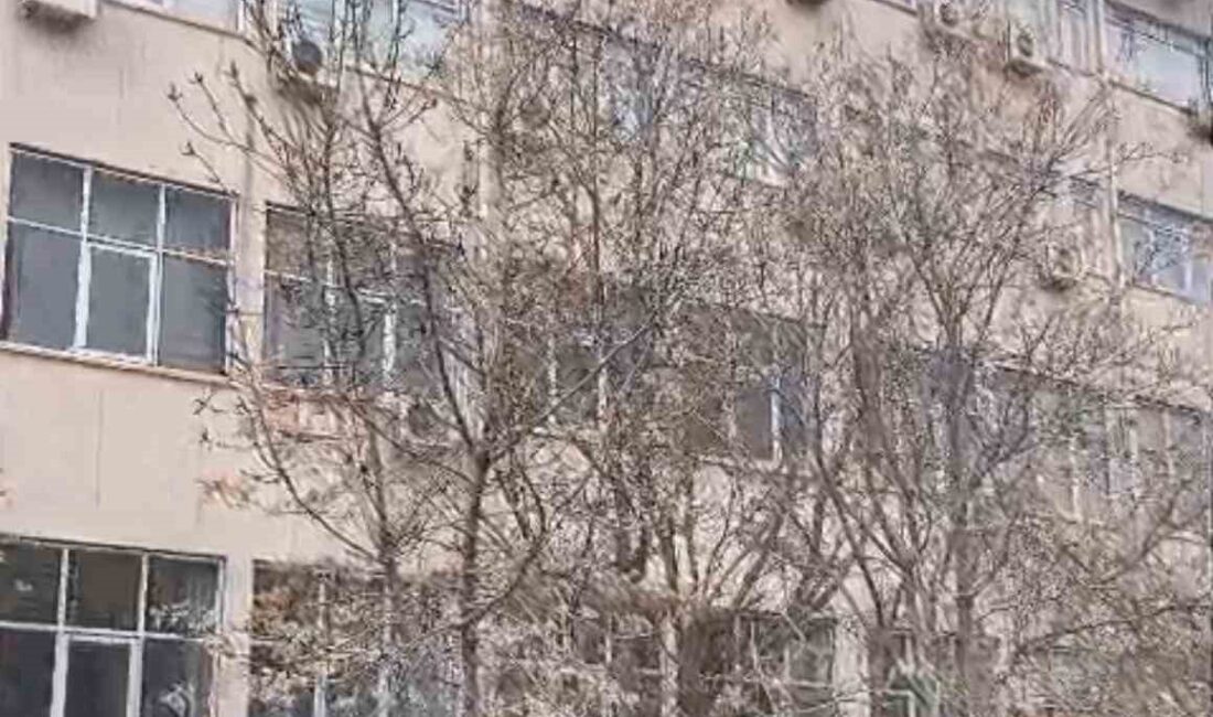 Diyarbakır’da, Dicle Üniversitesi Ziraat Fakültesi binasının çatısına çıkarak intihar girişiminde