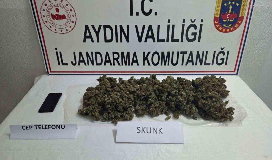 Didim ilçesinde jandarma ekipleri tarafından gerçekleştirilen operasyonda, yabancı bir vatandaşın