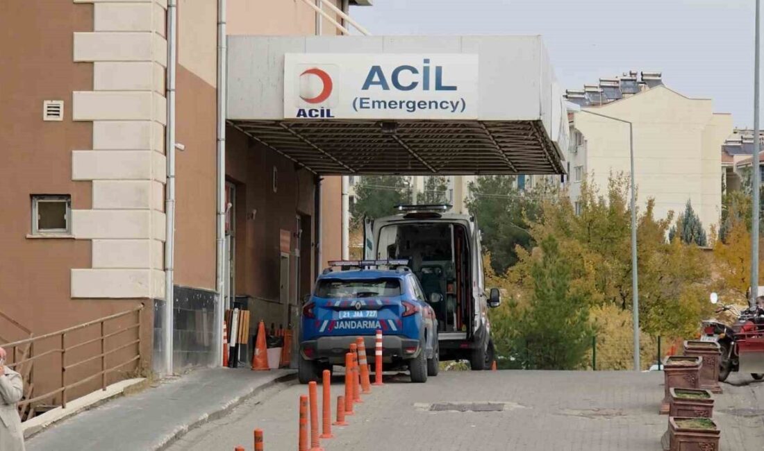 Ergani ilçesinde bir adam, kayınpederi ve kayınbiraderiyle yaşadığı tartışma sonucunda