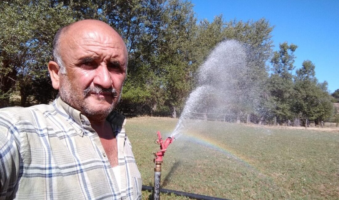 Kastamonu’da yaşanan olayda, domuz avı sırasında bir komşusunun ölümüne sebep