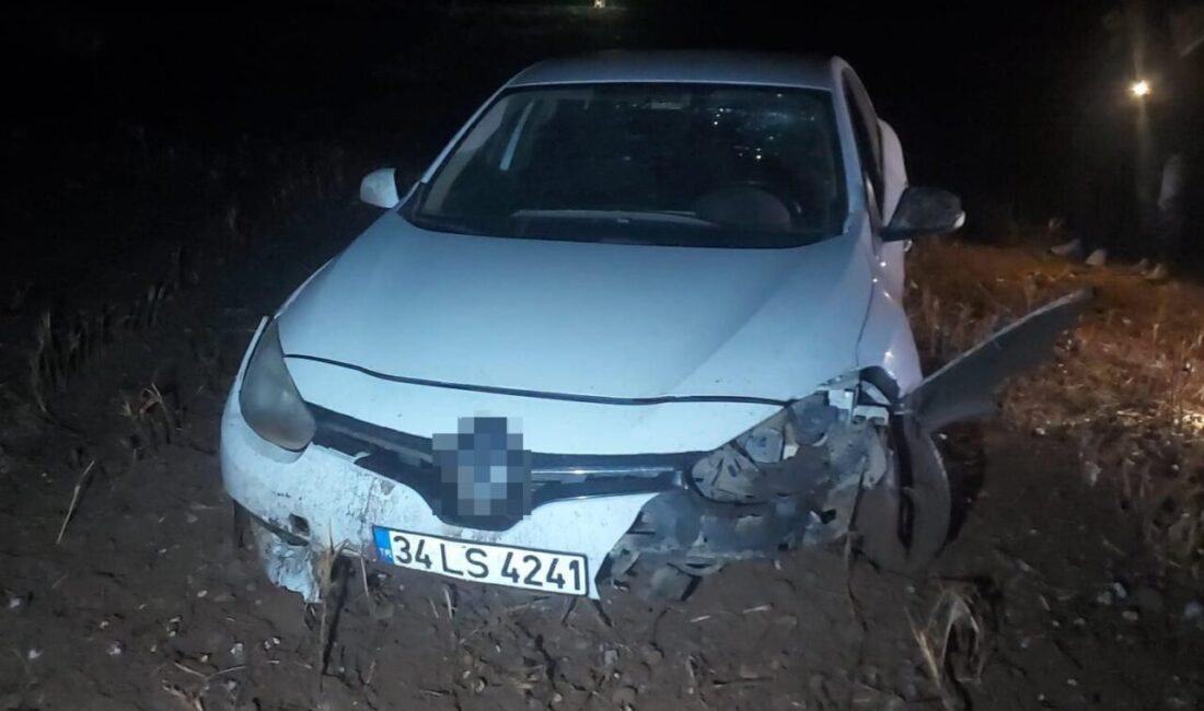 Akçakale ilçesinde bir adamın eşini evde dövüp ağır yaraladıktan sonra