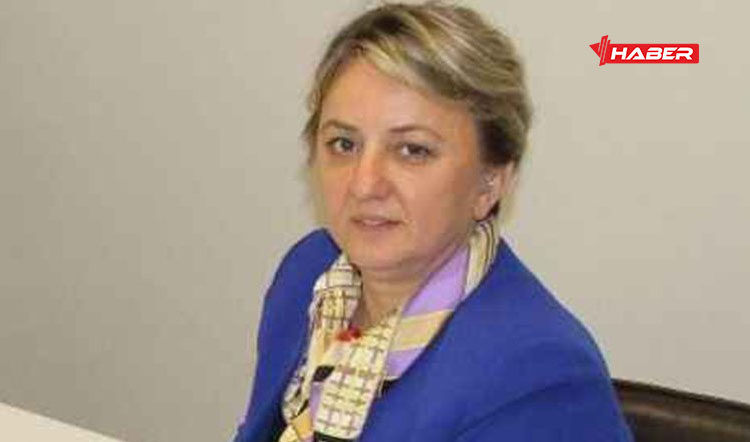 ebru küçükaydın ne iş yapıyor