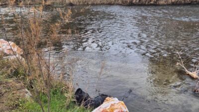İzmir-Eskişehir güzergahında sefer yapan Ege Ekspresi yolcu treni, Kütahya’nın Tavşanlı