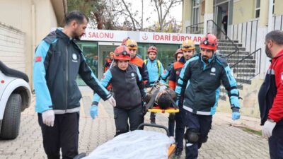 Elazığ Ruh ve Sinir Hastalıkları Hastanesi’nde senaryo gereği Bingöl’de meydana