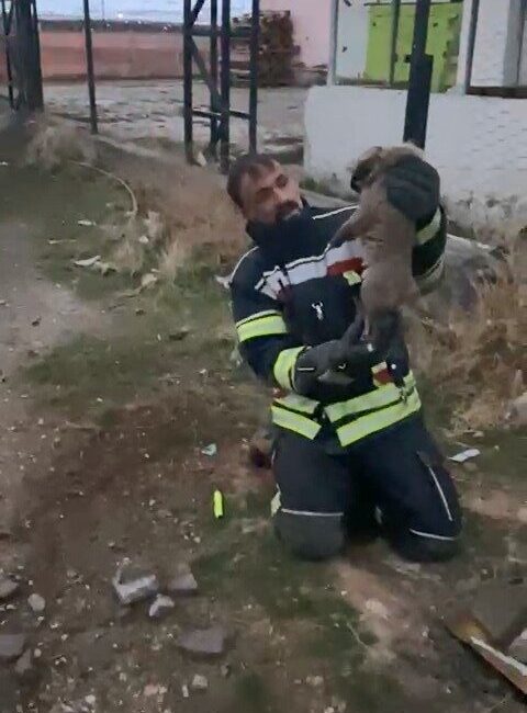 Elazığ’ın Arındık köyünde, 3 metre derinliğindeki bir lağım çukuruna düşen