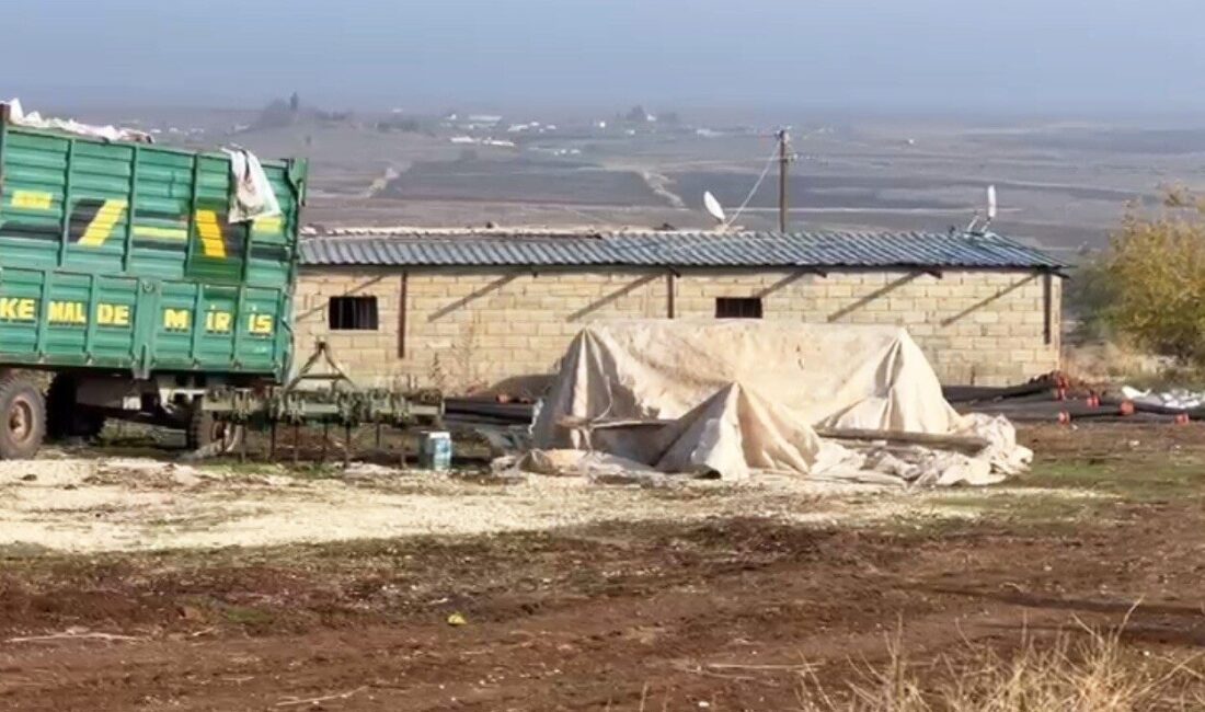 Şanlıurfa’da gerçekleştirilen denetimler sonucunda, kaçak elektrik kullanılarak kripto üretimi yapılan