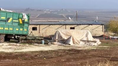 Şanlıurfa’da gerçekleştirilen denetimler sonucunda, kaçak elektrik kullanılarak kripto üretimi yapılan