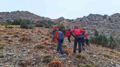 Erzincan’ın Kalecik köyünde sıkışmış durumda olan 11 keçi, AFAD, JAK